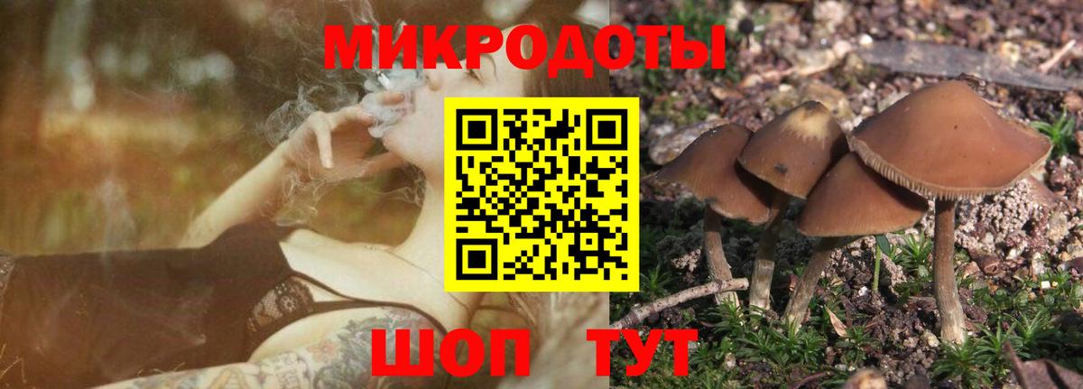 Галлюциногенные грибы мицелий  Вход с VPN  Тихвин 